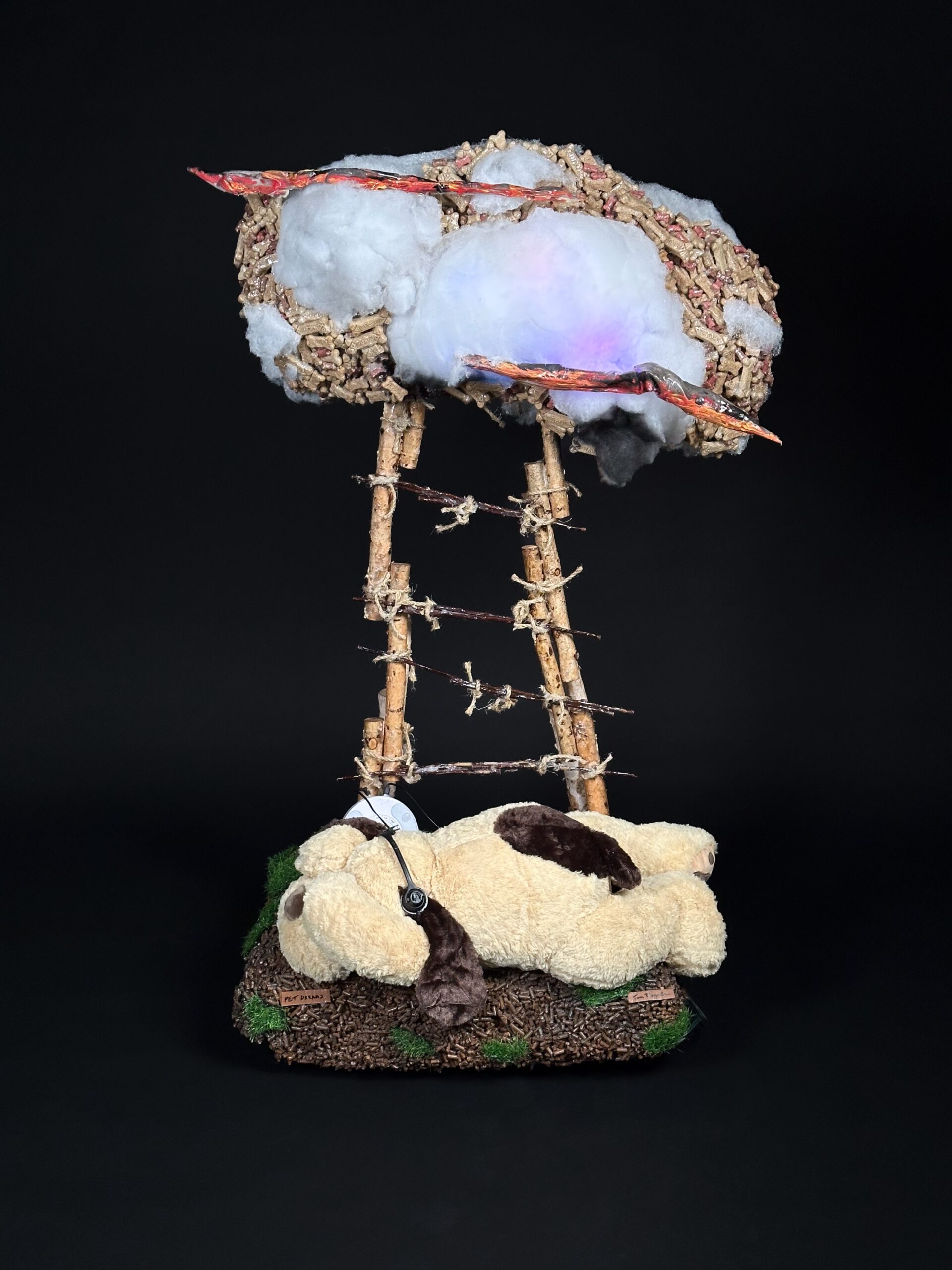 Pet Dreams by Tom Pergola