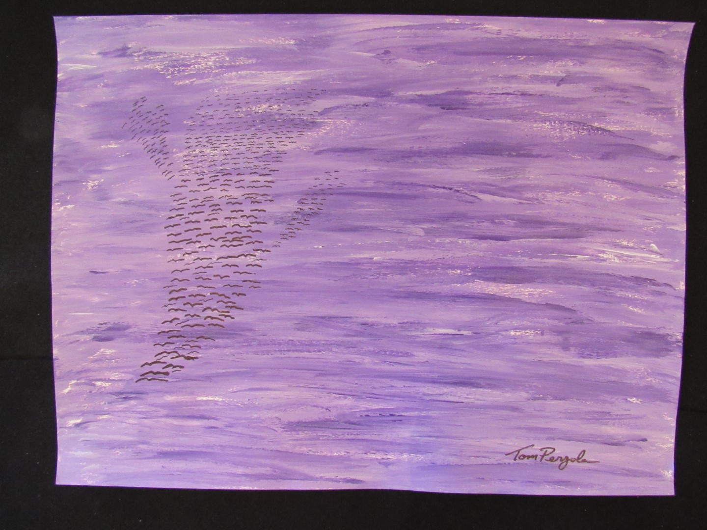 Birds by Tom Pergola